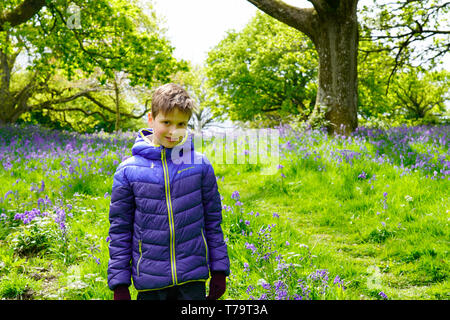 Schöne junge in einer Bluebell wood lächelnd Stockfoto