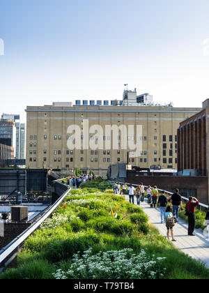 Die Menschen laufen entlang der High Line, einem öffentlichen Park, der auf einer historischen Güterzuglinie über den Straßen der West Side von Manhattan gebaut wurde. Stockfoto