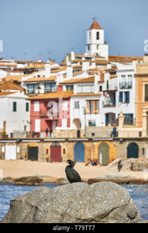 Schöne kleine spanische Stadt an der Costa Brava in Katalonien. Calella de Palafrugell Stockfoto