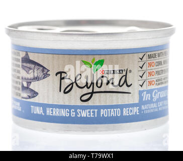 Winneconne, WI - 26 April 2019: eine Dose Purina über Katzenfutter auf einem isolierten Hintergrund Stockfoto
