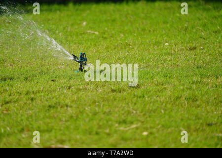 Sprinklerschutz Gras arbeiten System, Arbeiten auf dem Feld im Garten. Stockfoto
