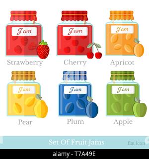 Satz von Gläsern mit verschiedenen Obst Marmelade. Home Erhaltung Flat Style Icons Stock Vektor