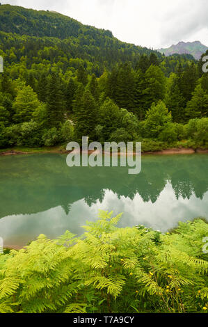 Lac d'Anglus See in Gave d'Aspe Fluss durch Mischwald mit Gabedallos peak am Ende umgeben (Aspe-tal, Pyrénées-Atlantiques, Frankreich) Stockfoto