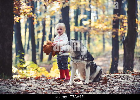 Freunde Mädchen und Hund spielen im Herbst Wald. Freunde Kind und Husky spielen an der frischen Luft in den Wäldern im Freien Stockfoto