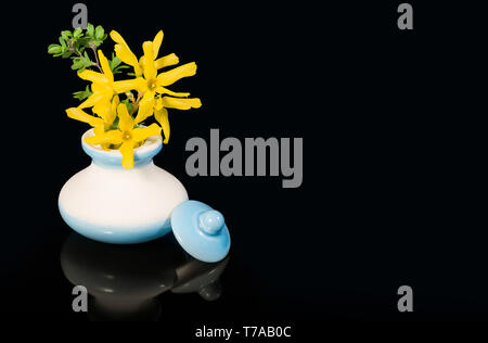 Gelbe Feder Bouquet. Keramik Vase. Forsythia intermedia. Künstlerische detail. Goldene Blumen und Zweige mit grünen Blättern im schönen weiß blau Schale, Deckel. Stockfoto