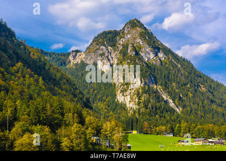 Alpen Berge bedeckt mit Wald, Schönau am Königssee, Konigsee, Nationalpark Berchtesgaden, Bayern, Deutschland Stockfoto