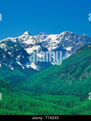 Unbenannte Gipfel der Mission Bergen über Elk Creek Valley in der Nähe von condon, Montana Stockfoto