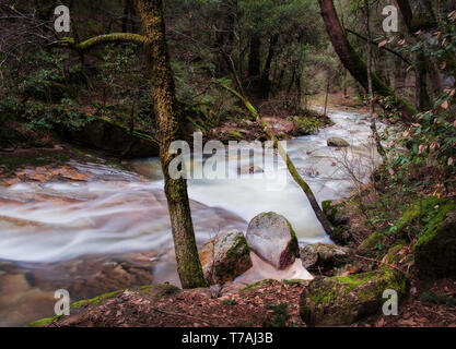 Mountain Creek fließt über grüne Moos bedeckt Granit Felsen im Wald in den Bergen der Sierra Nevada im Norden Californis. Stockfoto