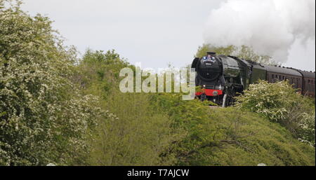 Dampfzug auf der Spur Stockfoto