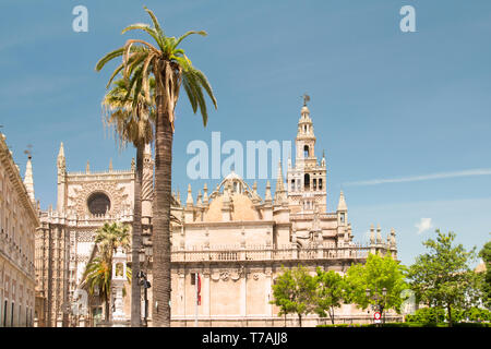 Kathedrale der Heiligen Maria, Catedral de Santa Maria de la Sede in Sevilla Stockfoto