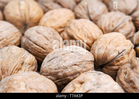 Close-up viele gesunde Walnüsse. Blick auf frische Walnüsse. Gesunde Nüsse mit Omega-3-Fettsäuren und Antioxidantien für eine gesunde und schöne Haut. Stockfoto