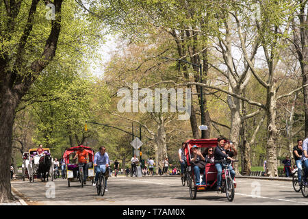 Central Park im Frühling sehr beliebt ist, NYC, USA Stockfoto