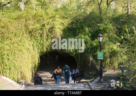 Central Park im Frühling sehr beliebt ist, NYC, USA Stockfoto