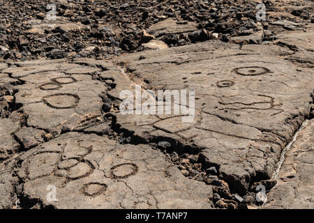 Felszeichnungen in Waikoloa Feld, auf der King's Trail ('Mamalahoa'), in der Nähe von Kona auf der grossen Insel von Hawaii. In vulkanischem Gestein, das früheste von Th geschnitzt Stockfoto