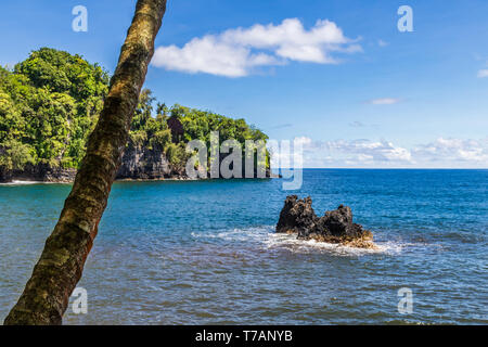 Bucht nördlich von Hilo auf Hawaii Big Island. Palme im Vordergrund; Rock sichtbar über dem blauen Meer. Grüne Küste, blauer Himmel und Wolken sichtbar in der d Stockfoto