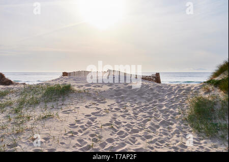 Weiße Düne vor dem Meer, mit Vegetation und Schutz Zaun an der Spitze. Stockfoto