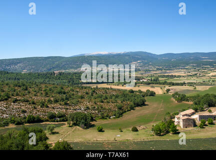 Felder und Wiesen im Tal unten Sault Provence Frankreich Stockfoto