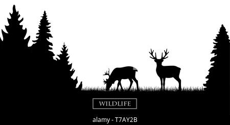 Zwei Wildtiere rentier Silhouette in den Wald auf der Wiese schwarz-weiß illustration Vektor EPS 10. Stock Vektor