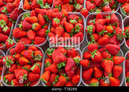 Erdbeere Fächer im Markt Stockfoto
