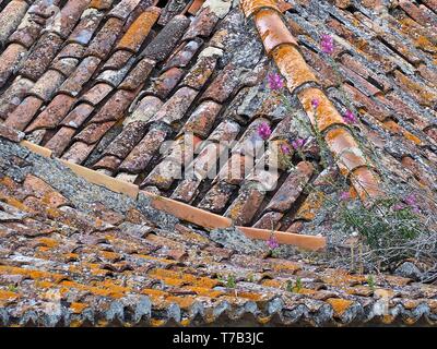 Bunte Kacheln auf einem Dach in Lissabon Stockfoto