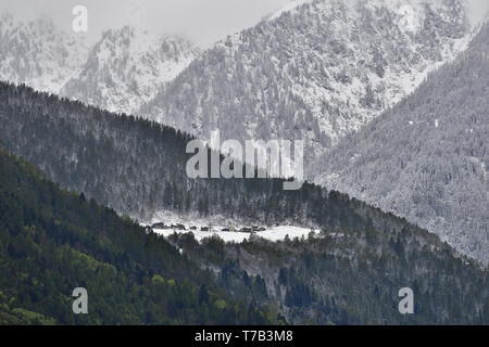 Ein kleines Dorf auf der Weide auf dem Berge, weiss von Schnee im Mai. Der Kontrast wird durch den Kontrast zwischen den weißen Der s markiert Stockfoto