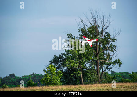 RC Flugzeug Jet T45 Habicht 3 von 4 Stockfoto