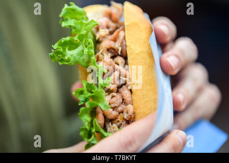 Greetsiel, Deutschland. 02 Mai, 2019. Eine Frau hält eine Krabbe in der Hand. Da Lager der Großhändler voll sind, Garnelen Fischer in Norddeutschland haben eine Pause zu nehmen. Für die Fischer Dies ist eine finanzielle Gefahr (dpa' crab Fisherman: "Es gibt nichts, das am Ende des Monats') Credit Links: mohssen Assanimoghaddam/dpa/Alamy leben Nachrichten Stockfoto