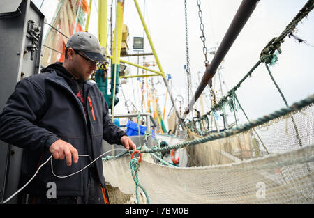 Greetsiel, Deutschland. 02 Mai, 2019. Crab fisherman Florian Zilka Patches die Krabbe Netze auf den Cutter "Flamingo". Da Lager der Großhändler voll sind, Garnelen Fischer in Norddeutschland haben eine Pause zu nehmen. Für die Fischer Dies ist eine finanzielle Gefahr (dpa' crab Fisherman: "Es gibt nichts, das am Ende des Monats') Credit Links: mohssen Assanimoghaddam/dpa/Alamy leben Nachrichten Stockfoto