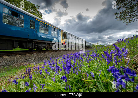 Bury, Lancashire, UK. 6. Mai, 2019. Bedeckt und kaltem Wetter auf dieser Bank Holiday Montag für die Besucher der East Lancashire Eisenbahn in Bury, Lancashire. Die freiwillige Lauf bahn lief ein Full Service von Dampf und Diesel Züge vorbei an einem Teppich der Bluebells auf Grate Country Park, begraben. Bild von der Credit: Paul Heyes/Alamy leben Nachrichten Stockfoto