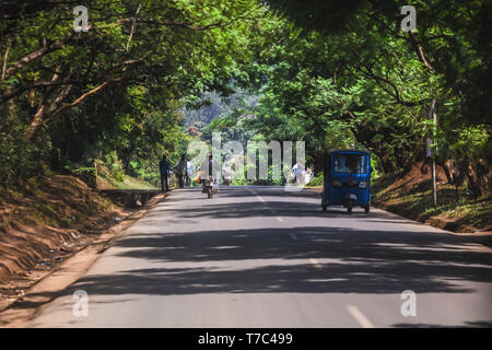 Lange Straße durch den Dschungel dichten Bäumen. Fahrzeuge reiten und in der Stadt und Dörfer. Menschen reiten auf Fahrrädern und zu Fuß. Sommer sonnigen Tag, Reisen Stockfoto