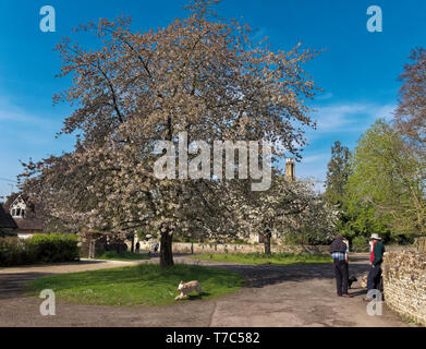 Kirche Grün, Fyfield, Oxfordshire Stockfoto