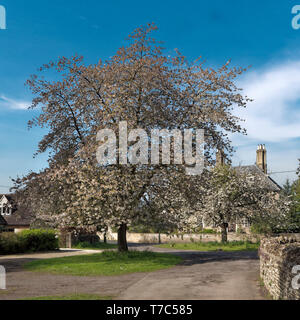 Kirche Grün, Fyfield, Oxfordshire Stockfoto