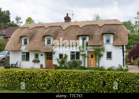 Reetdachhaus in dem Dorf Oakhanger in Hampshire, Großbritannien Stockfoto