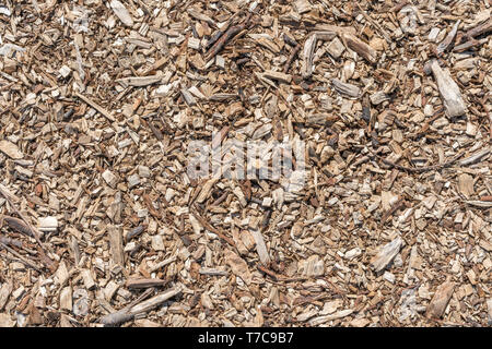 Holzspäne als natürliche, Holz- Hintergrund. Stockfoto