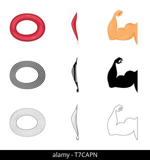 Vector Illustration der Faser und muskulös Symbol. Satz von Faser- und Körper Symbol für das Web. Stock Vektor