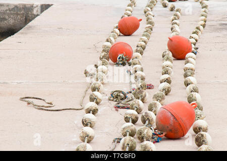 Bojen auf Seilen an der Küste pier gesäumt und bereit, in Meerwasser zu Beginn der Badesaison. Stockfoto