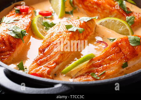 Pochierter Lachs in einem thailändischen Coconut schließen Curry - bis in einer Pfanne auf dem Tisch. Horizontale Stockfoto