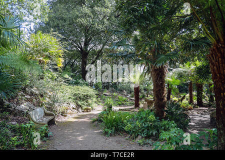 Der Farn Dell und Haustiere Friedhof, Mount Edgcumbe Country Park, South East Cornwall Stockfoto