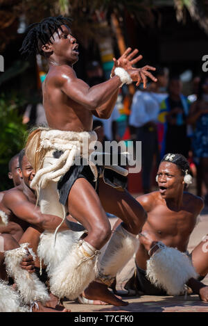 Zulu Kultur Tänzer zeigen ihre Leidenschaft und bewegt sich an der Waterfront in Durban, Südafrika. Stockfoto