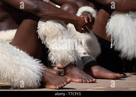 Von der Tierfelle kulturellen Zulu Tänzer binden um ihre Kälber Detail. Stockfoto