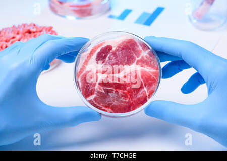 Fleisch im Labor Petrischalen Stockfoto