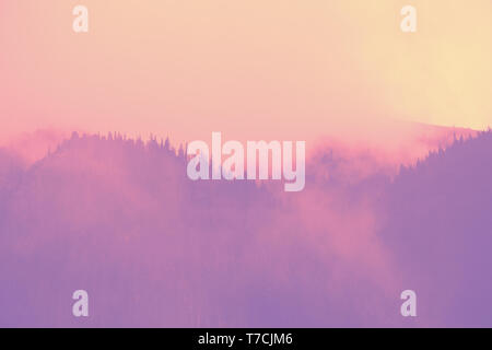 Trendy pastellfarbenen hohe Foggy Mountain Forest Stockfoto