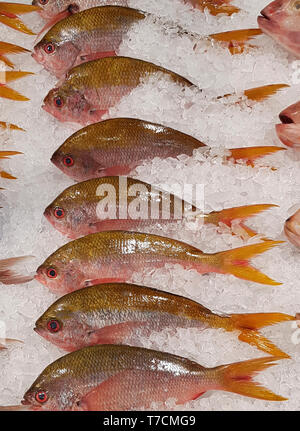 Frischer Fisch und Meeresfrüchte, Thailand Markt Stockfoto