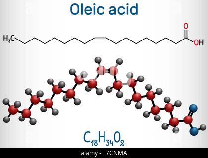 Ölsäure (cis, Omega-9) Molekül. Strukturelle chemische Formel und Molekül-Modell. Vector Illustration Stock Vektor