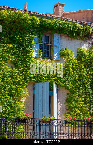 Schönen Süden mediterranes Haus Fassade in grün Efeu Stockfoto