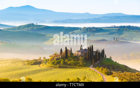 Siena, Italien - 02.Mai 2019: eine ikonische Landschaft im Val d'Orcia, Toskana, im Frühjahr bei Sonnenaufgang. Stockfoto