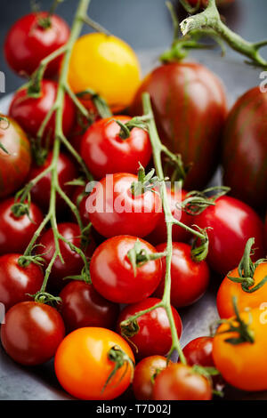 Mix der verschiedenen Arten von Tomaten Stockfoto