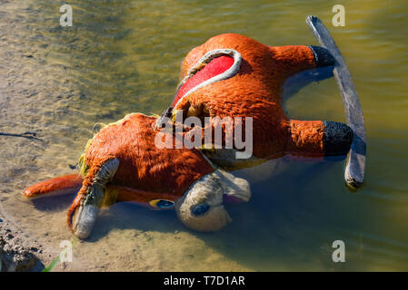 Alten, verlassenen Spielzeug der Kinder Esel in Wasser in der Nähe Stockfoto