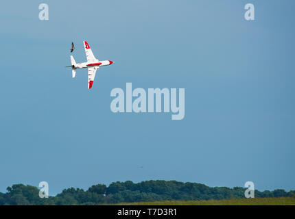 RC Flugzeug Jet T45 Habicht 4 von 4 Stockfoto