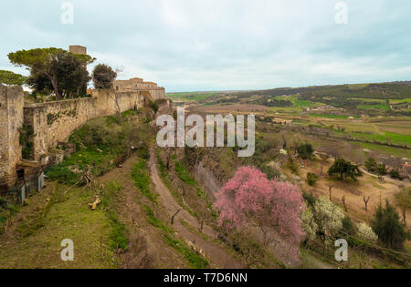 Tarquinia (Italien) - ein herrliches der Etrusker und der mittelalterlichen Stadt in der Provinz Viterbo, Region Latium. Es ist eine touristische Attraktion für viele Kirchen Stockfoto